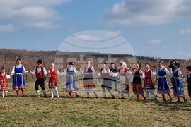 село Еленово - Трифон Зарезан - лозя - зарязване