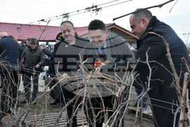 Видин - Трифон Зарезан - министър на земеделието