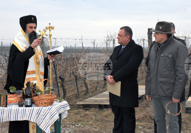 Видин - Трифон Зарезан - министър на земеделието