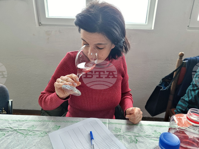 село Дъбрава - Празник на виното