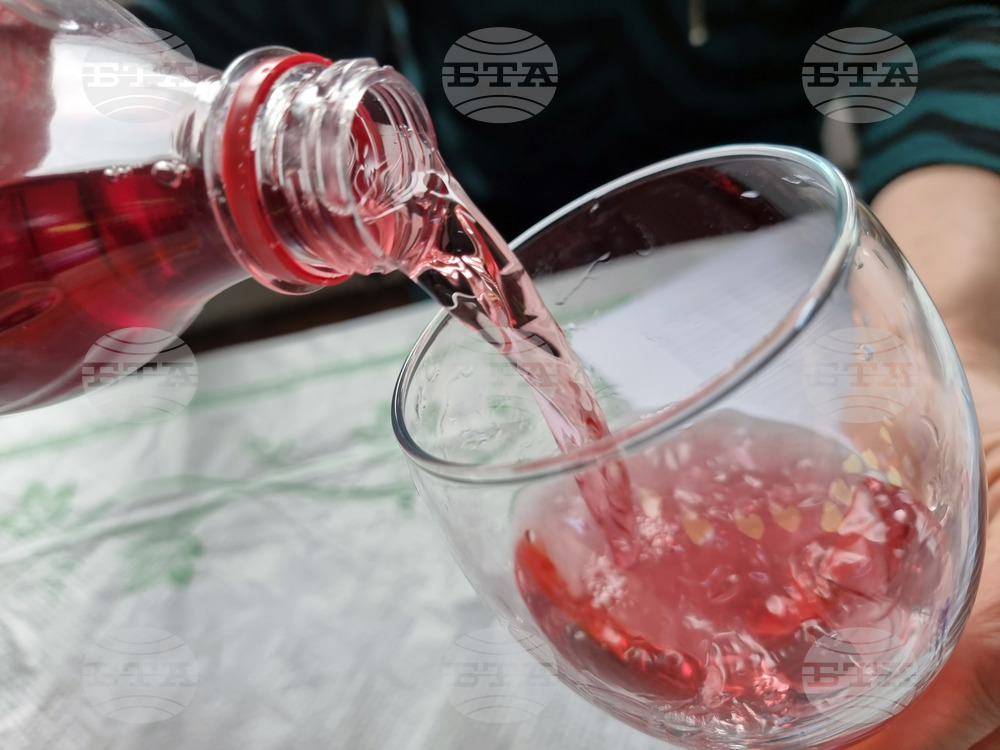 село Дъбрава - Празник на виното