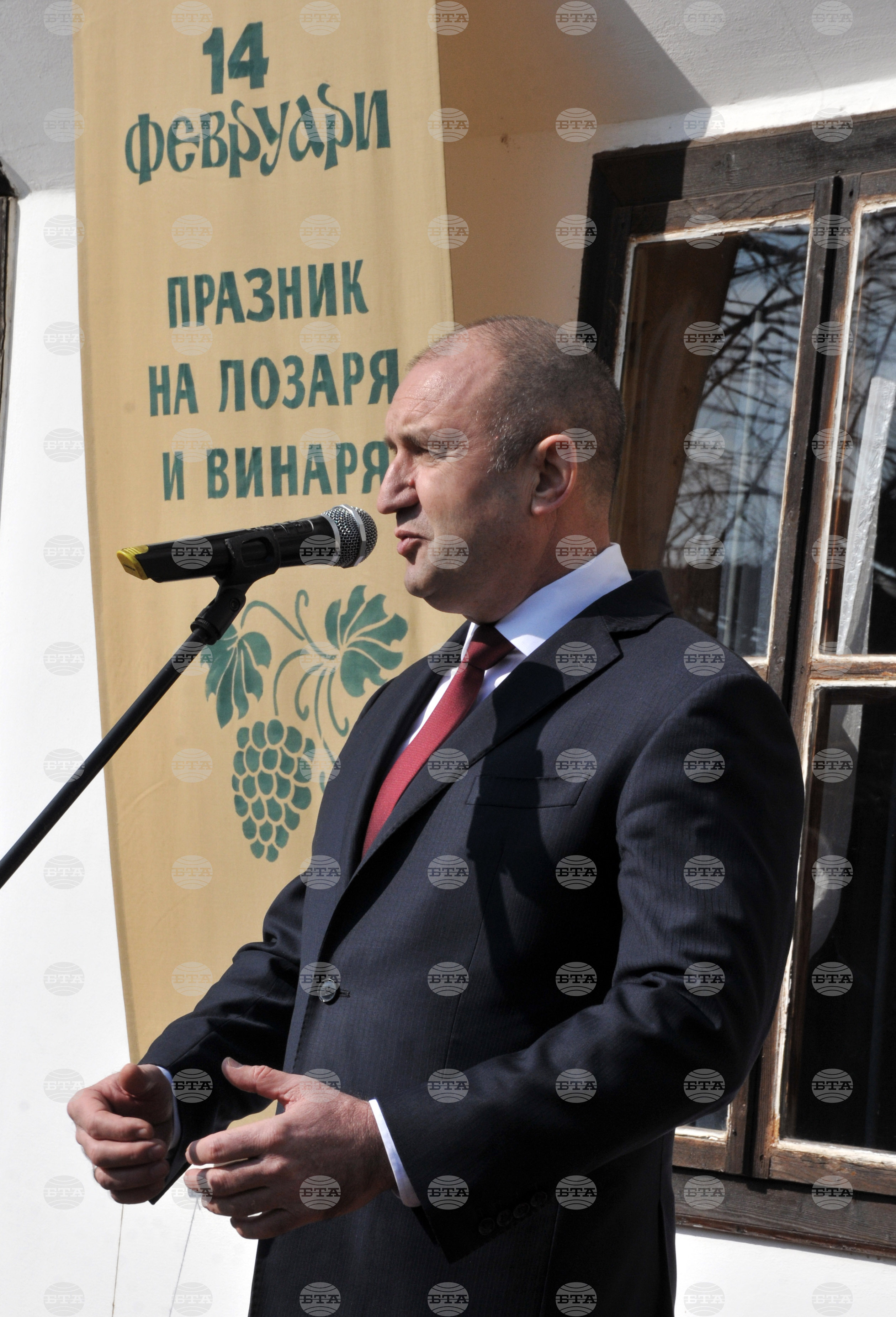 Сунгурларе - Трифон Зарезан - лозя - зарязване