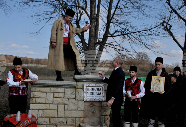 Сунгурларе - Трифон Зарезан - лозя - зарязване