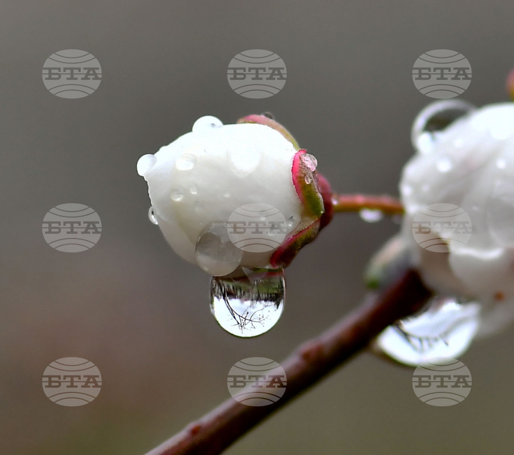 Село Голям Поровец - дъждовни капки