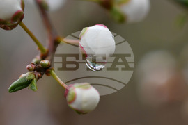 Село Голям Поровец - дъждовни капки