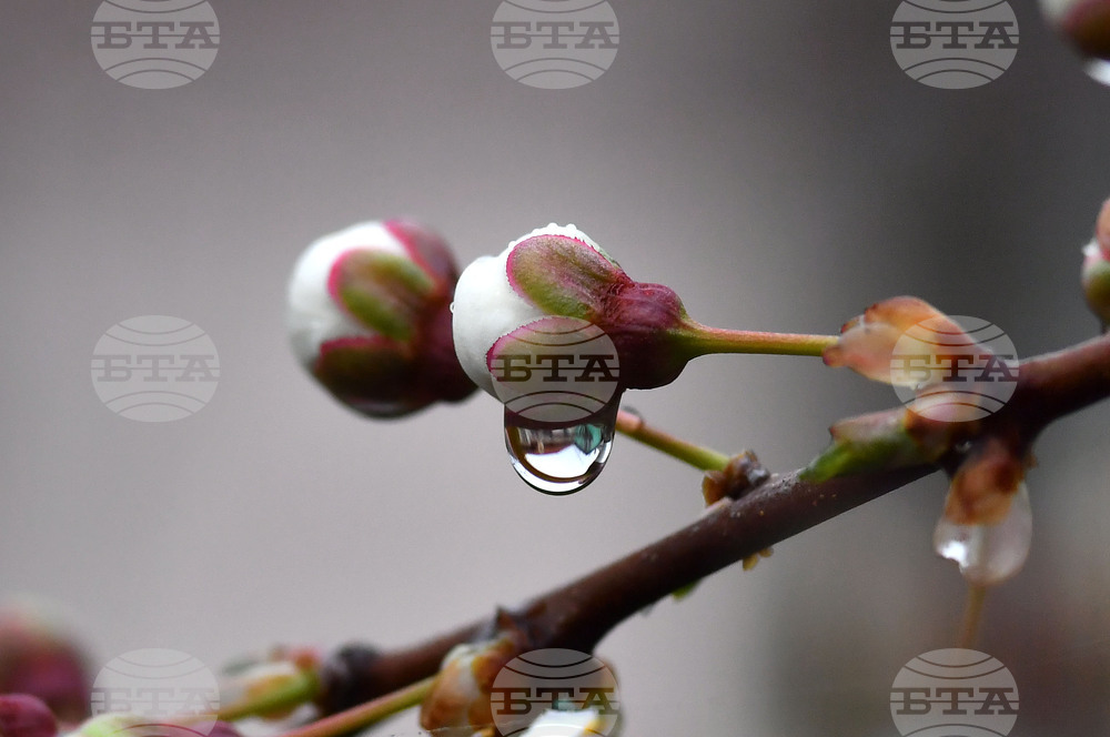 Село Голям Поровец - дъждовни капки