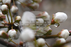 Село Голям Поровец - дъждовни капки