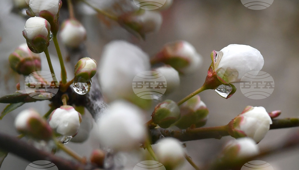 Село Голям Поровец - дъждовни капки