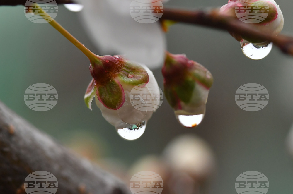 Село Голям Поровец - дъждовни капки