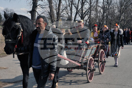 Сунгурларе - Трифон Зарезан - лозя - зарязване