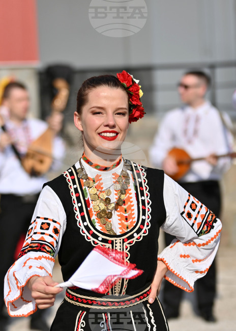 Село Брестник - Трифон Зарезан - лозя - зарязване