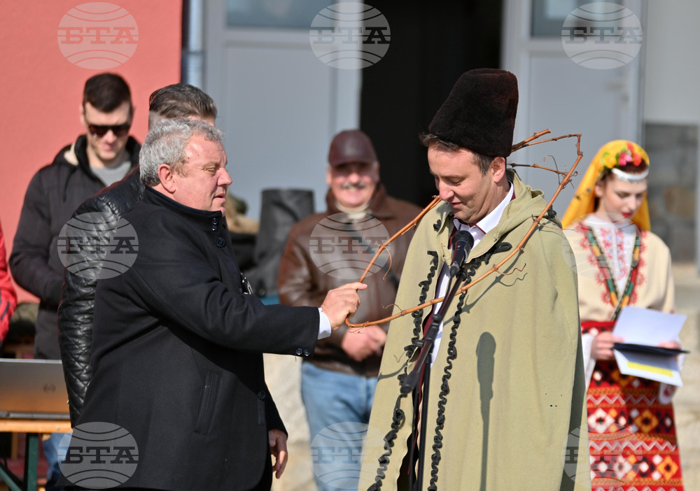 Село Брестник - Трифон Зарезан - лозя - зарязване