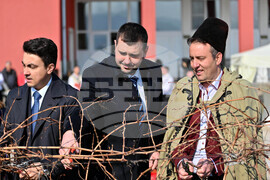 Село Брестник - Трифон Зарезан - лозя - зарязване