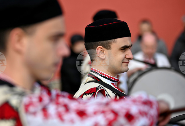Село Брестник - Трифон Зарезан - лозя - зарязване