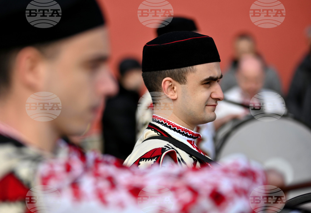 Село Брестник - Трифон Зарезан - лозя - зарязване