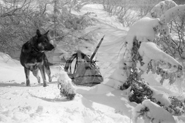 Местност Карандила през март 1958 г.