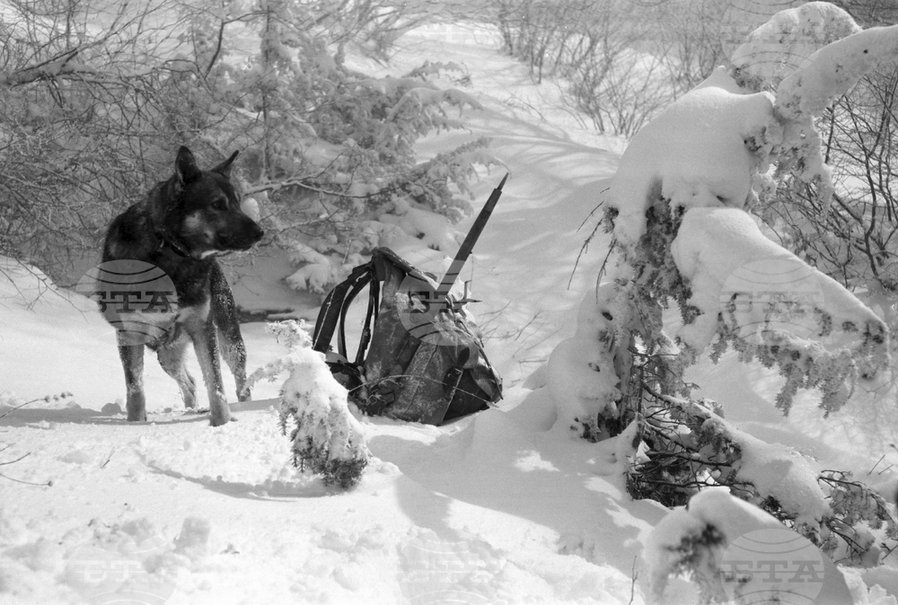 Местност Карандила през март 1958 г.