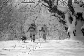 Местност Карандила през март 1958 г.