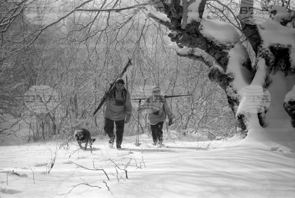 Местност Карандила през март 1958 г.