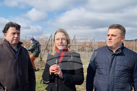 Село Еленово - Трифон Зарезан