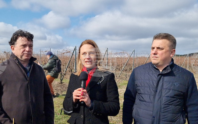 Село Еленово - Трифон Зарезан