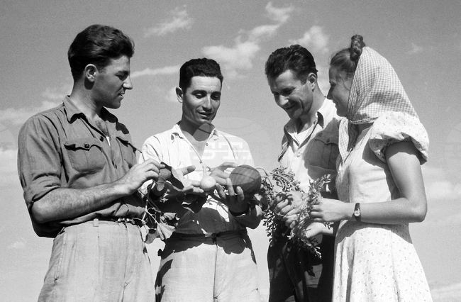 Село Борец - кооперативен бостан