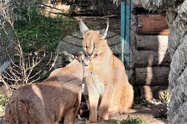 Бургас - зоопарк