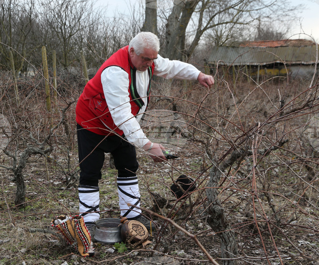 Село Конево - Трифон Зарезан