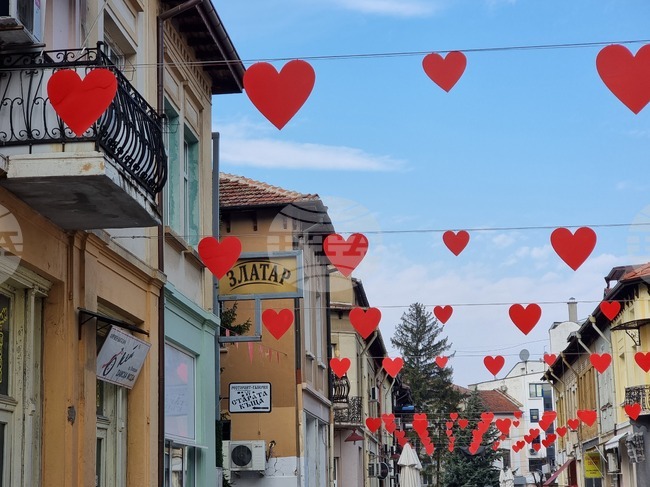 Враца - сърца