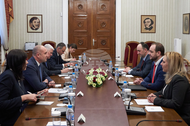 Президентът Румен Радев и вицепремиерът Борислав Сандов обсъдиха перспективите за задълбочаване на сътрудничеството в сферата на екологията