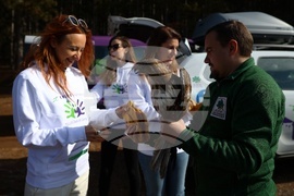 Зелени Балкани - птици - мишелови