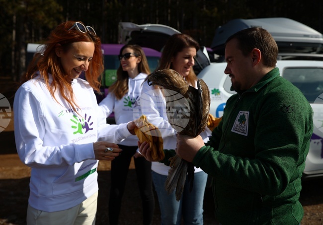 Зелени Балкани - птици - мишелови