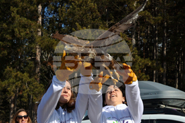 Зелени Балкани - птици - мишелови