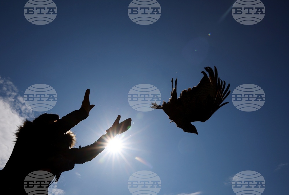 Зелени Балкани - птици - мишелови