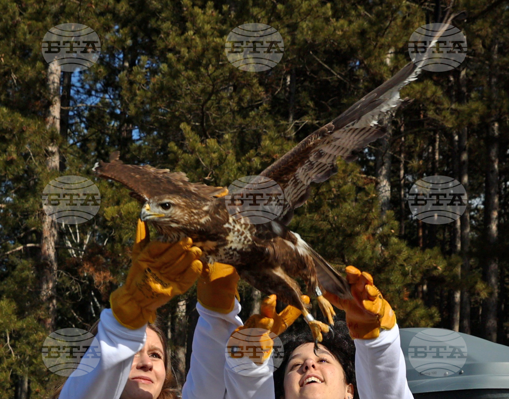 Зелени Балкани - птици - мишелови
