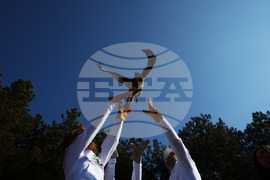 Зелени Балкани - птици - мишелови