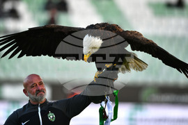 Разград - футбол - Лудогорец - Локомотив (София)