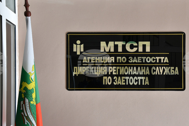 В Пазарджишко най-търсените специалисти с висше образование са учителите, медицинските специалисти и инженерите