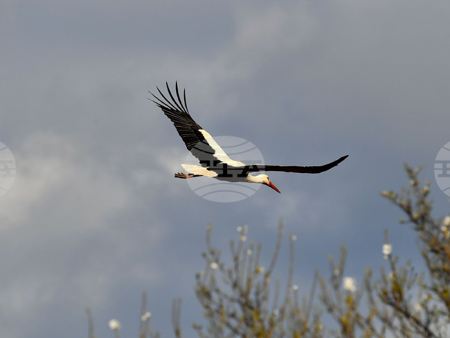 The Weather in March: Lowest Temperature at Minus 7C, Highest at 27C
