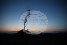 Село Приселци - Сирни Заговезни