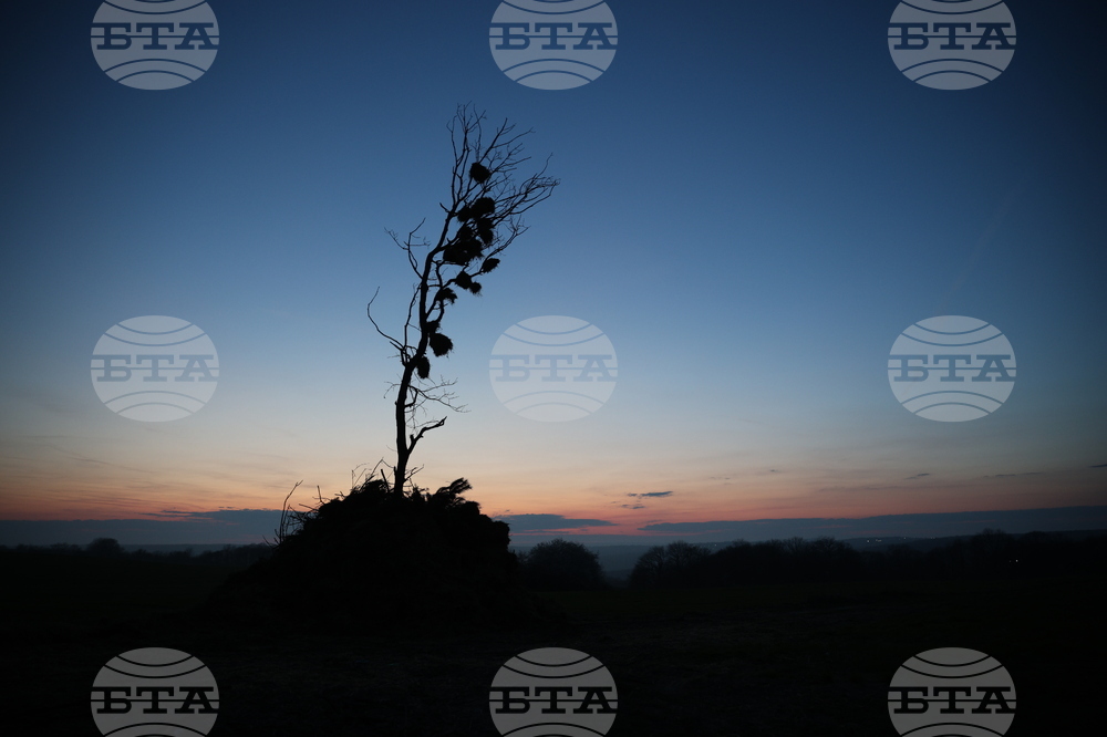 Село Приселци - Сирни Заговезни