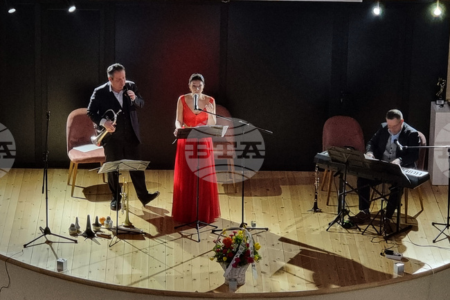 Видин - Братя Владигерови - Мария Павлова - концерт