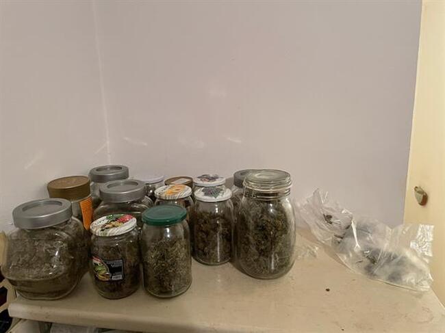 Столични полицаи разкриха домашна оранжерия за отглеждане на марихуана