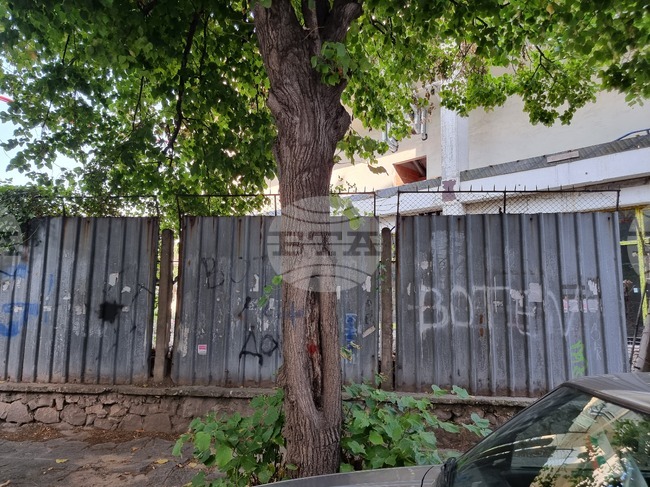 Пловдив - отсичане - дървета - подписка