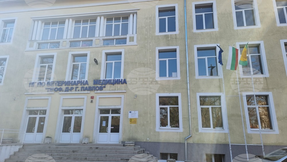 Добрич - ПГВМ - протест - директор