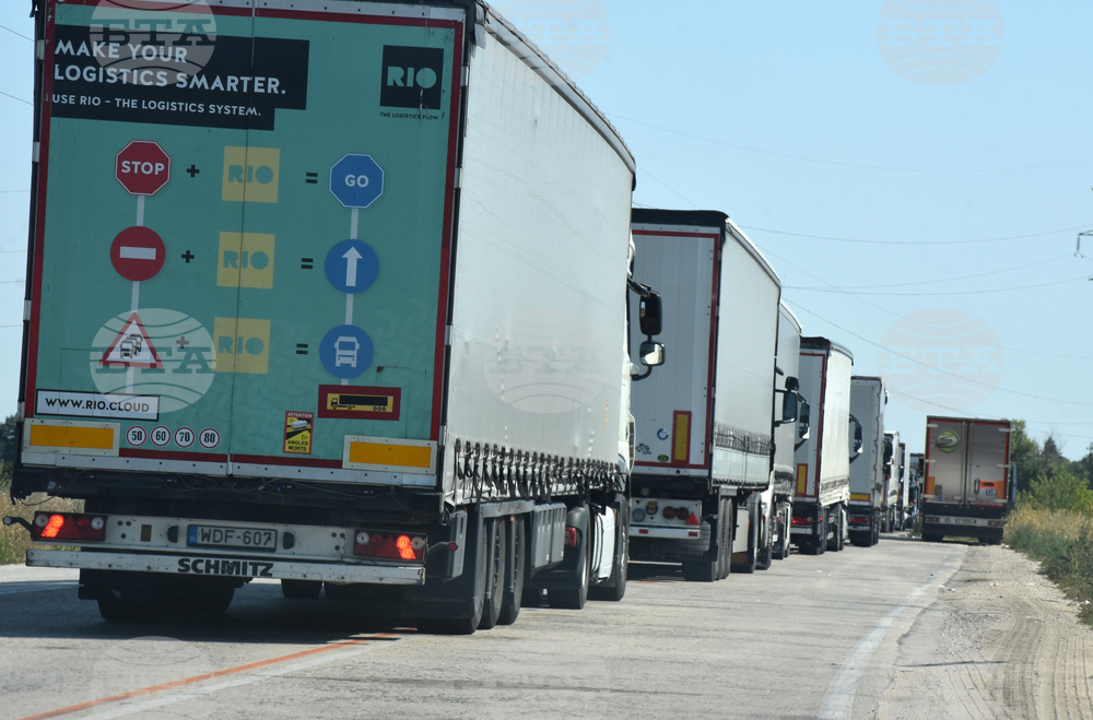 Видин - Дунав мост 2 - трафик - опашки