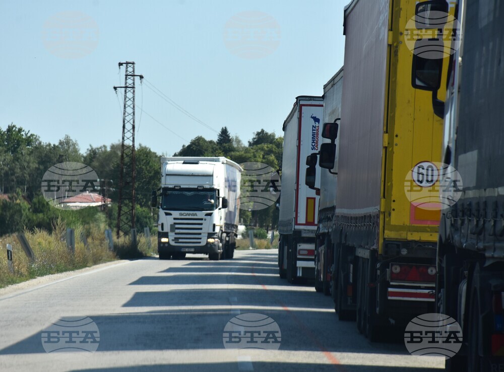 Видин - Дунав мост 2 - трафик - опашки