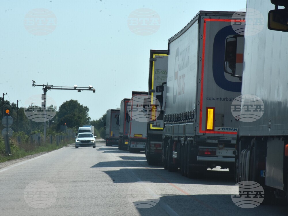 Видин - Дунав мост 2 - трафик - опашки