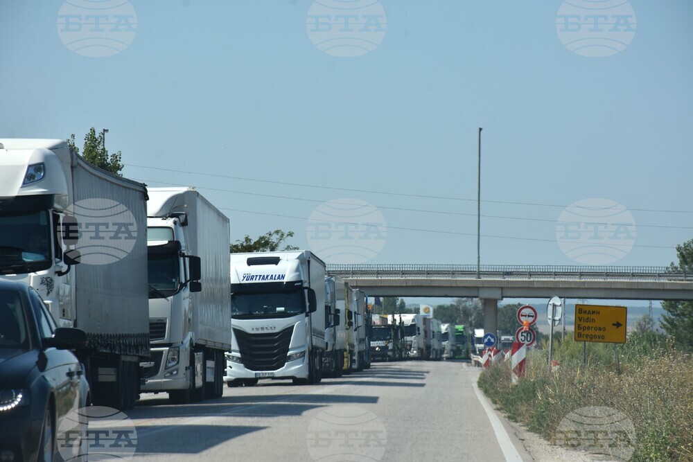 Видин - Дунав мост 2 - трафик - опашки