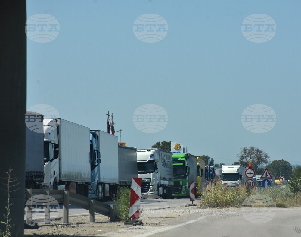 Видин - Дунав мост 2 - трафик - опашки